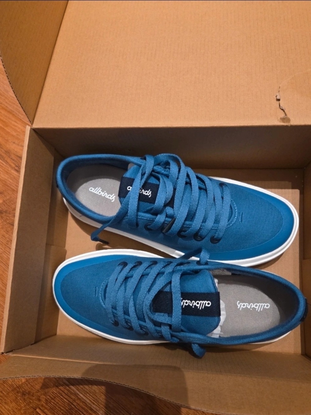 allbirds Men's Blue Lace-Up Canvas Pipers Sneakers